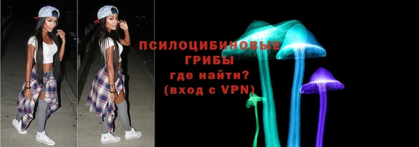 ECSTASY Бородино
