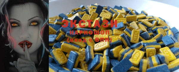 ECSTASY Бородино