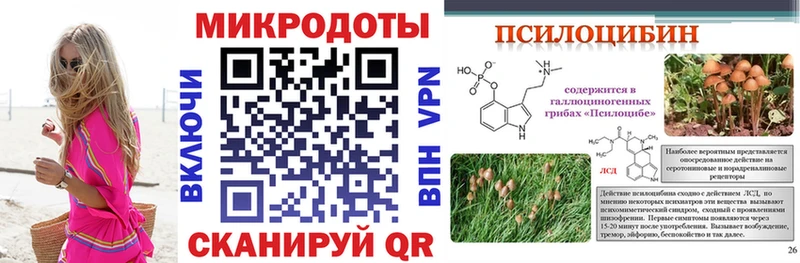 omg   как найти закладки  Яранск  Галлюциногенные грибы мухоморы 